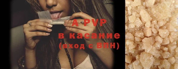 дурь Няндома