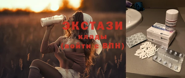 дурь Няндома