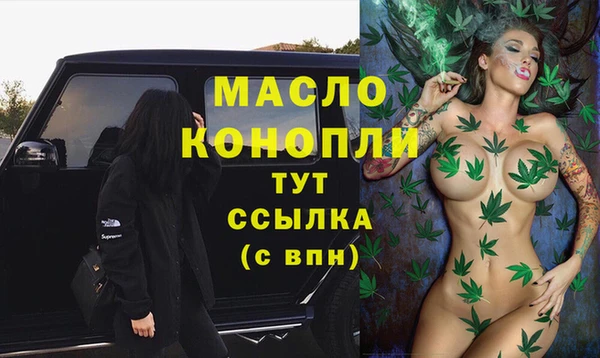 дурь Няндома