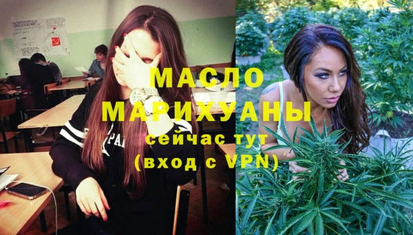 дурь Няндома