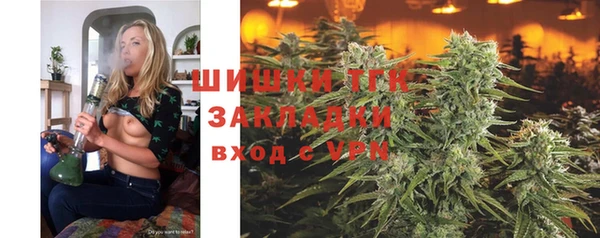 дурь Няндома