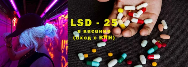 дурь Няндома