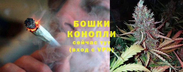 дурь Няндома