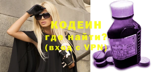 дурь Няндома