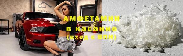 дурь Няндома