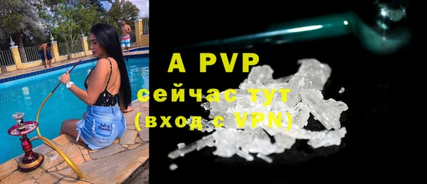 дурь Няндома
