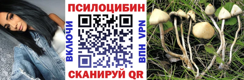 как найти закладки  Сусуман  Галлюциногенные грибы GOLDEN TEACHER 
